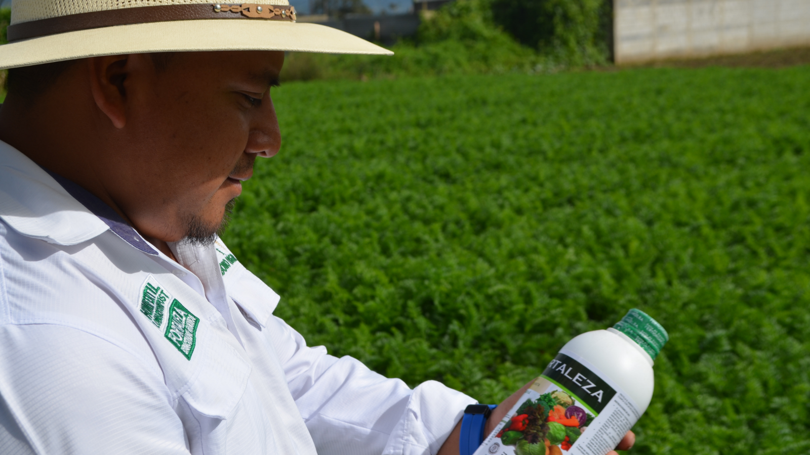 Aplicacion de fertilizante organico en el campo