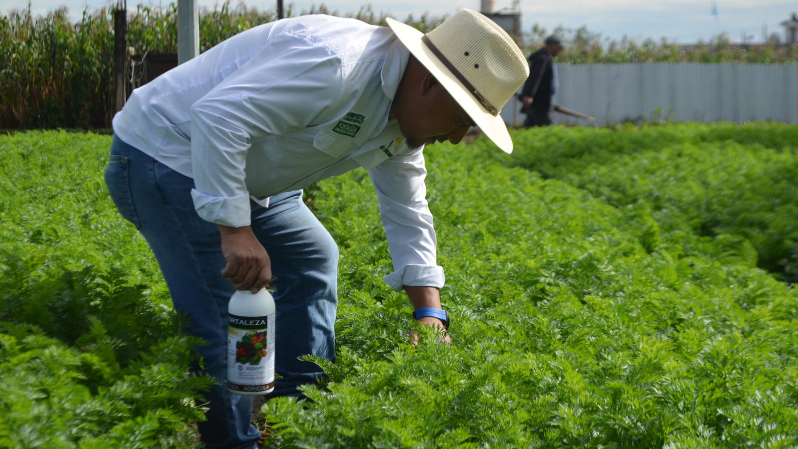 Salud del suelo y cultivo fortalecido con soluciones orgánicas