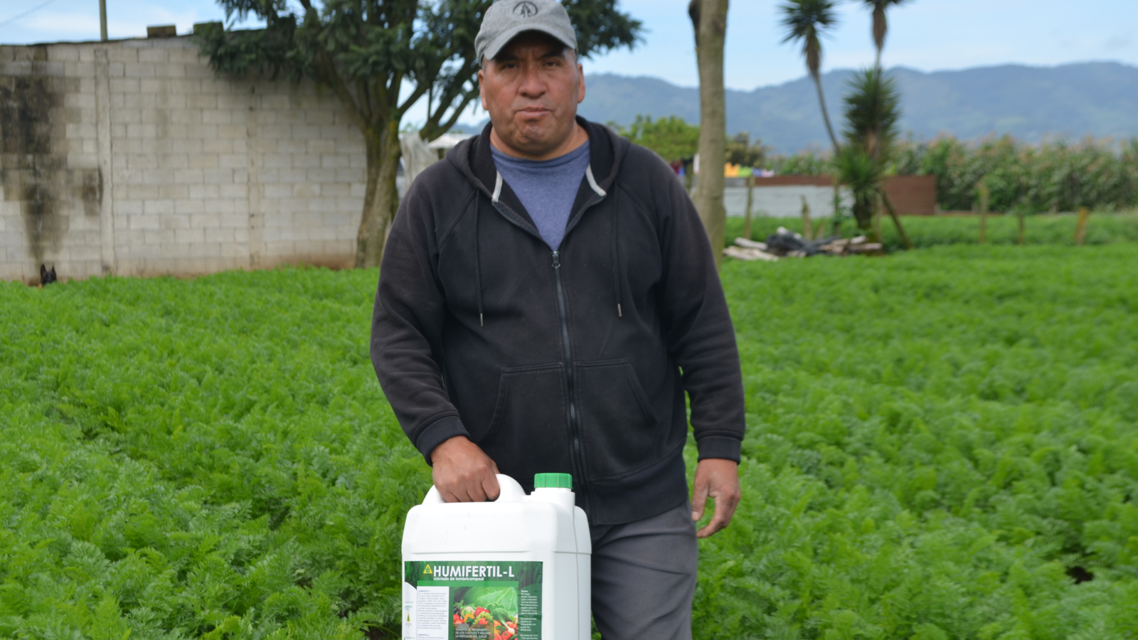 Servicio agrícola en campo 2