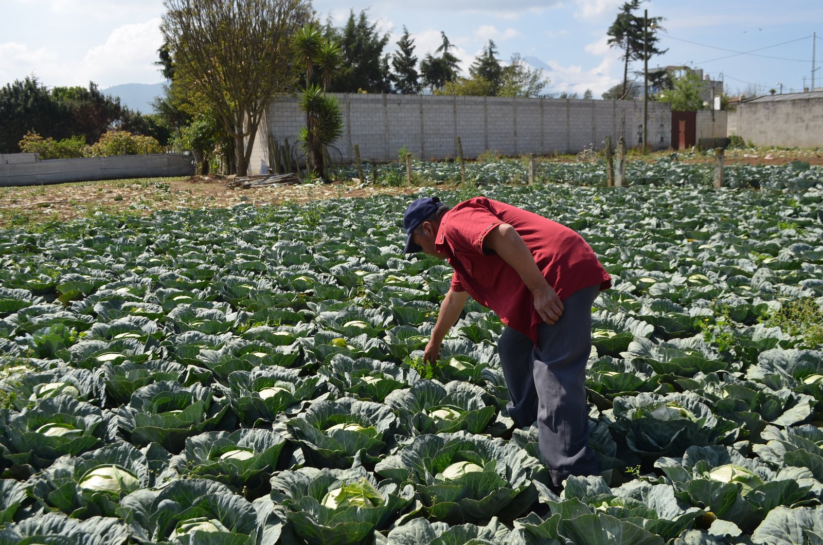 Equipo reunido en producción agrícola