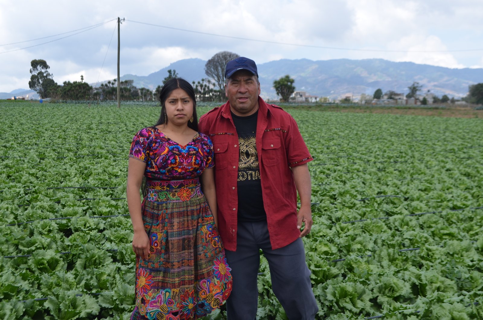 Aplicación de producto en cultivo
